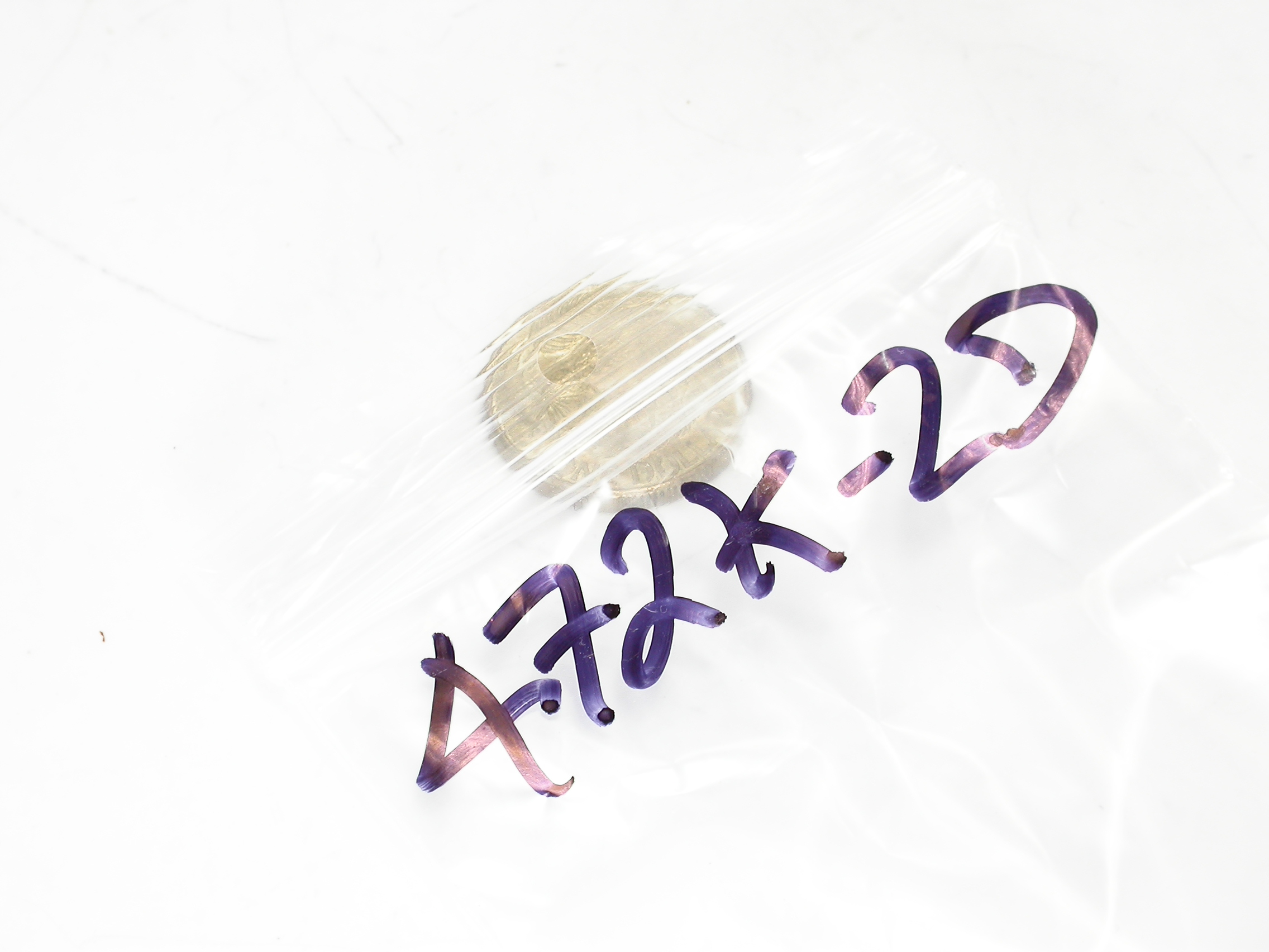 4n7F-K-xxV-2D-S_Bag.JPG  (569.2 Kb)