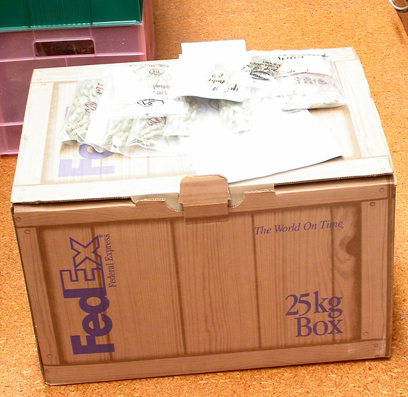 DSCN5313.JPG  (348.3 Kb)