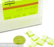 100nF-M-100V-RAD-MKT-344-24104-PH_Box-00.JPG  (286.3 Kb)