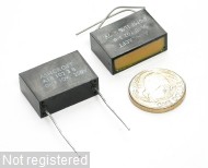 1uF-K-250V-RAD-A1B1023B-ASH_00.JPG  (224.9 Kb)