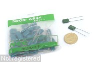 68nF-K-100V-RAD-NCC_01.JPG  (330.4 Kb)
