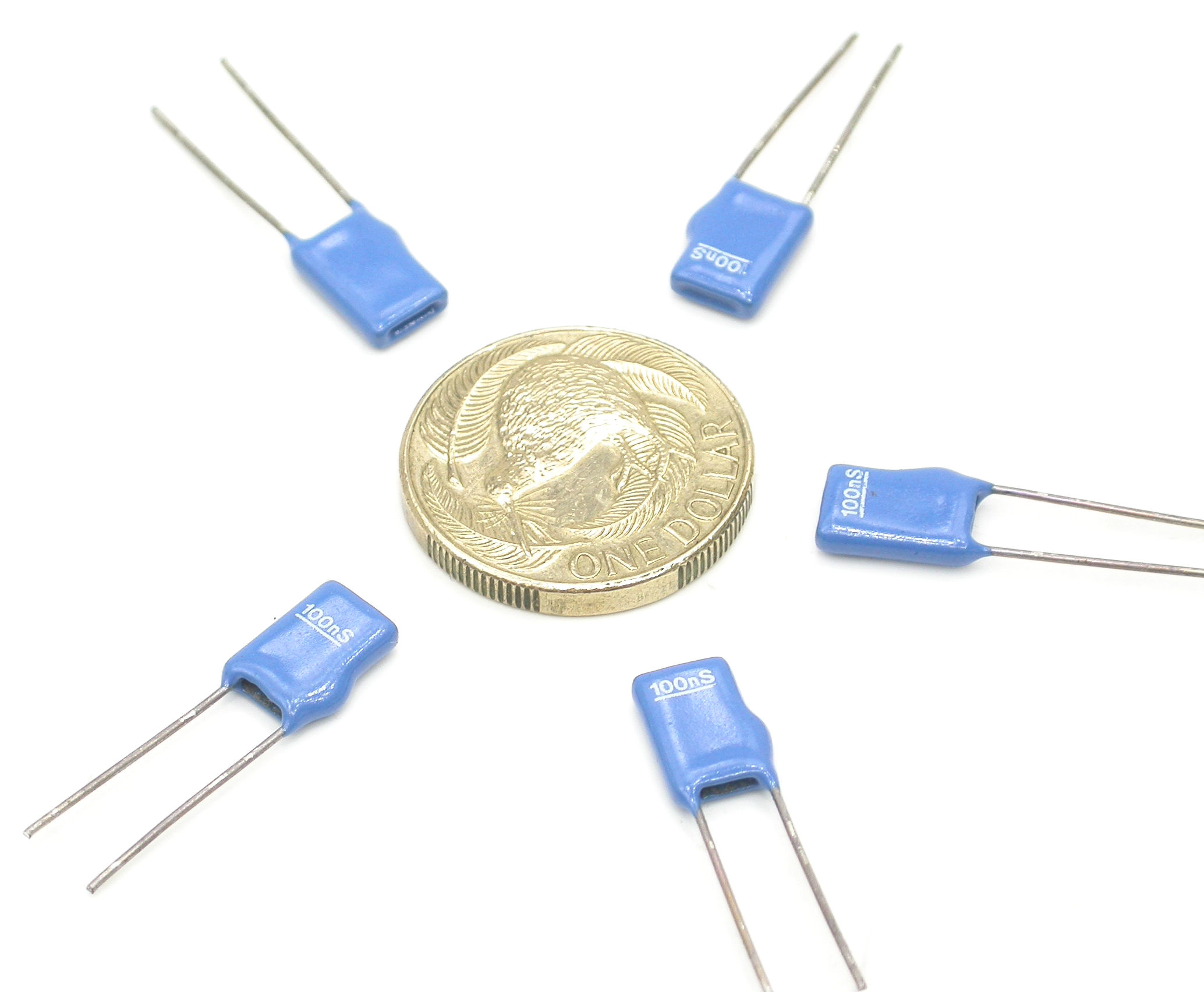 100nS_DSCN2320.JPG  (238.0 Kb)