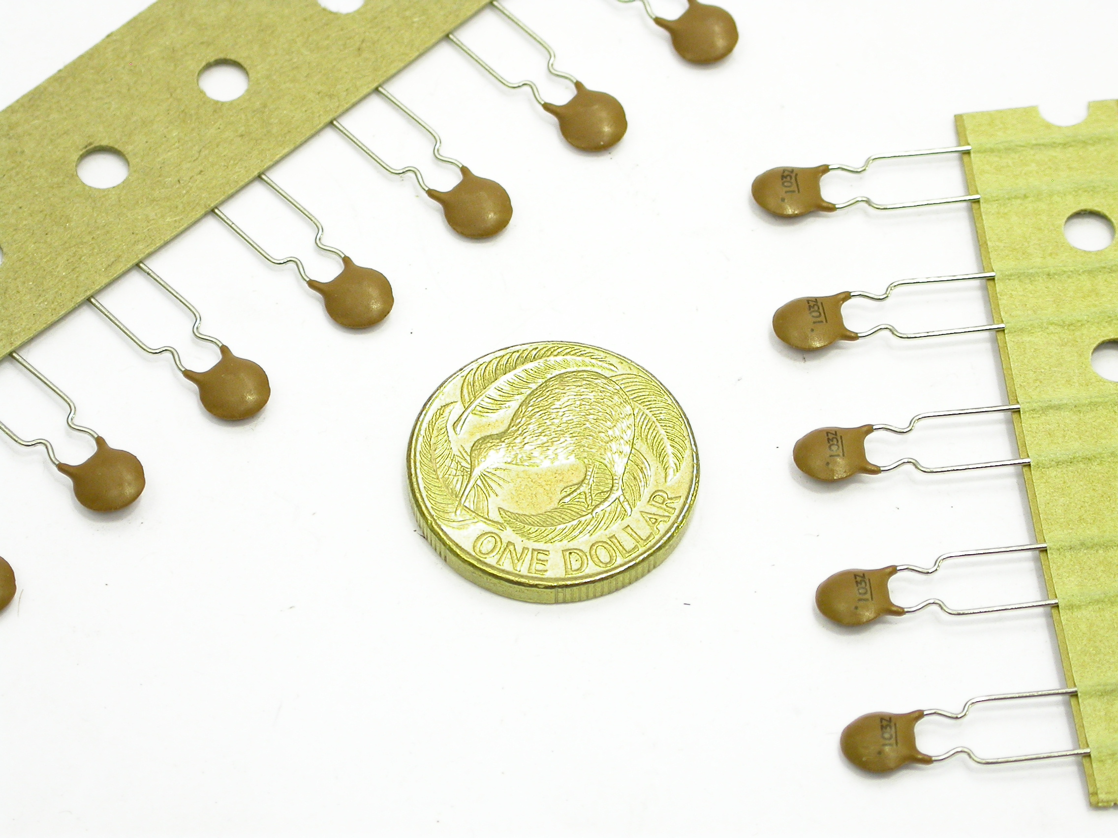 10npF-K-50V-RAD_DSCN3066.JPG  (921.2 Kb)