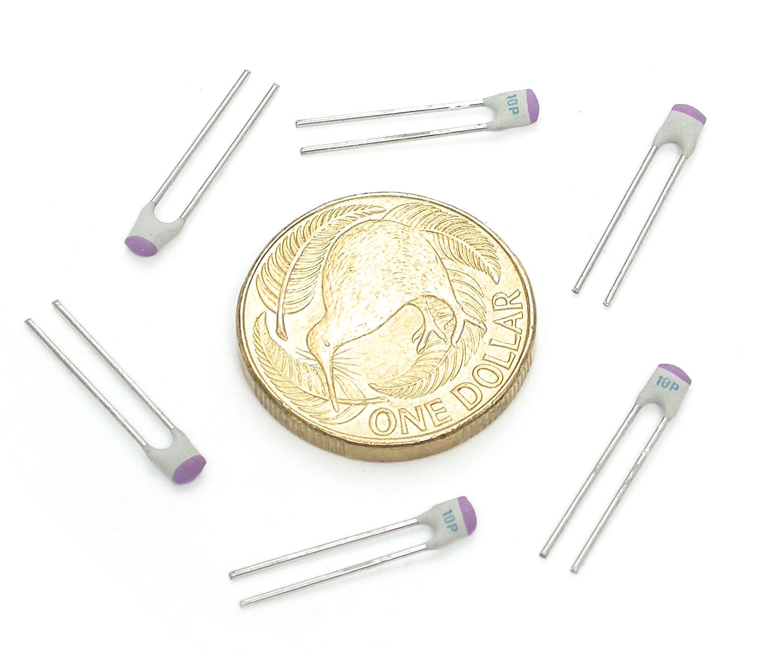 10pF_DSCN1184.JPG  (186.8 Kb)