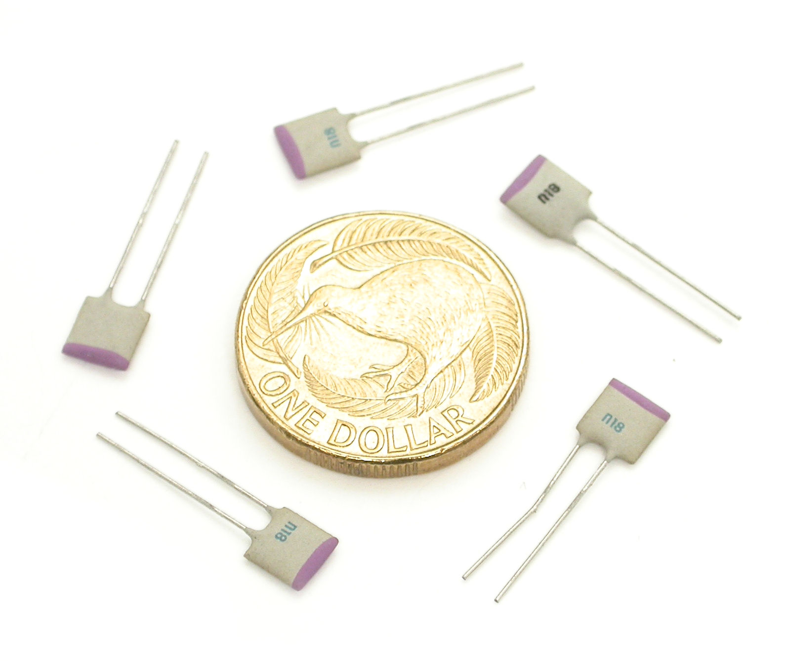 180pF_DSCN1173.JPG  (171.2 Kb)