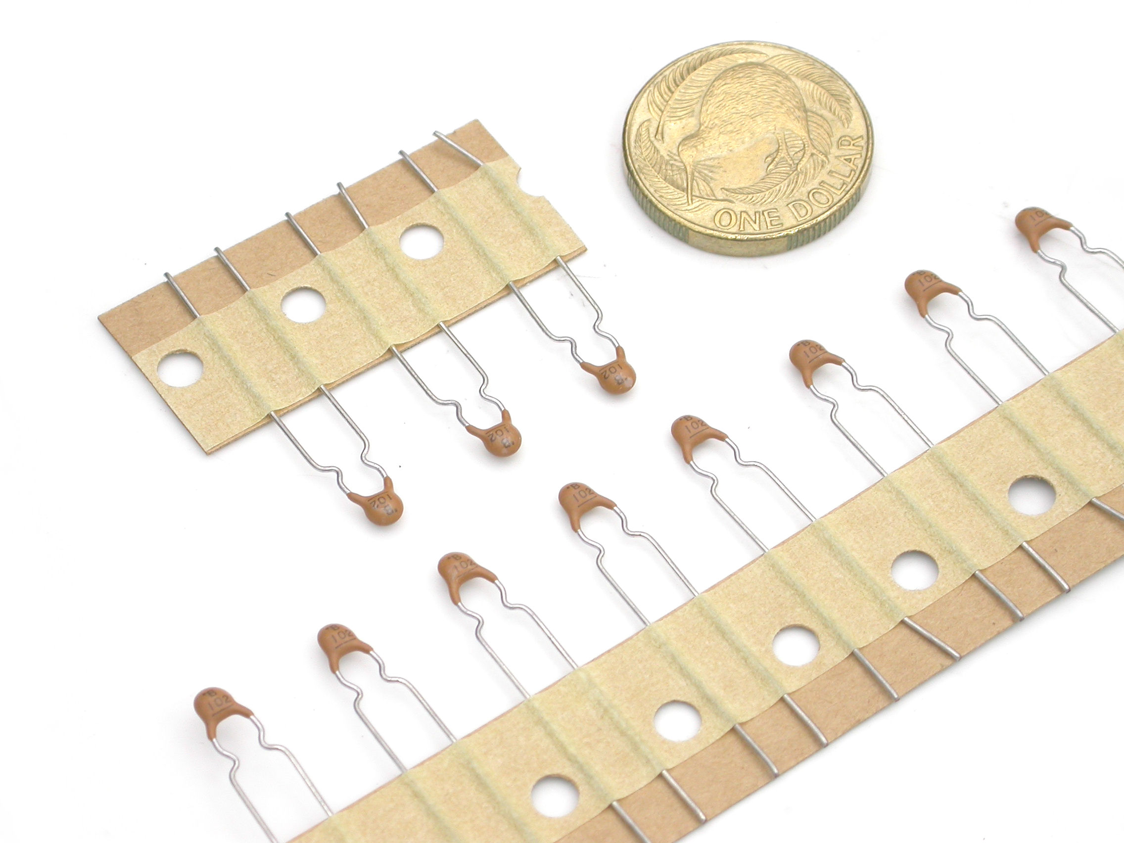 1nF-xxV-Rad_DSCN6681.JPG  (353.5 Kb)