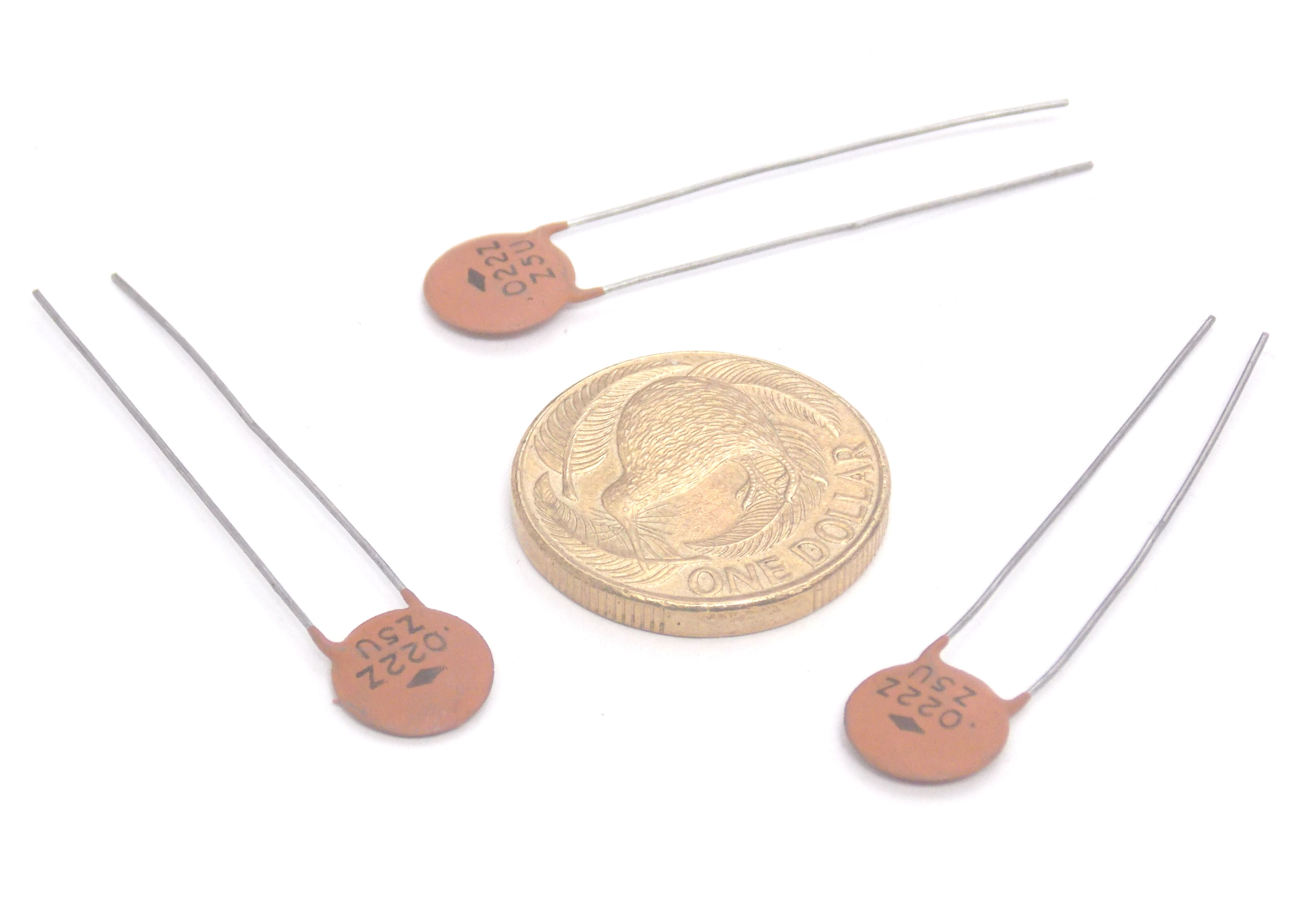 22nF_L810_021.jpg  (595.8 Kb)