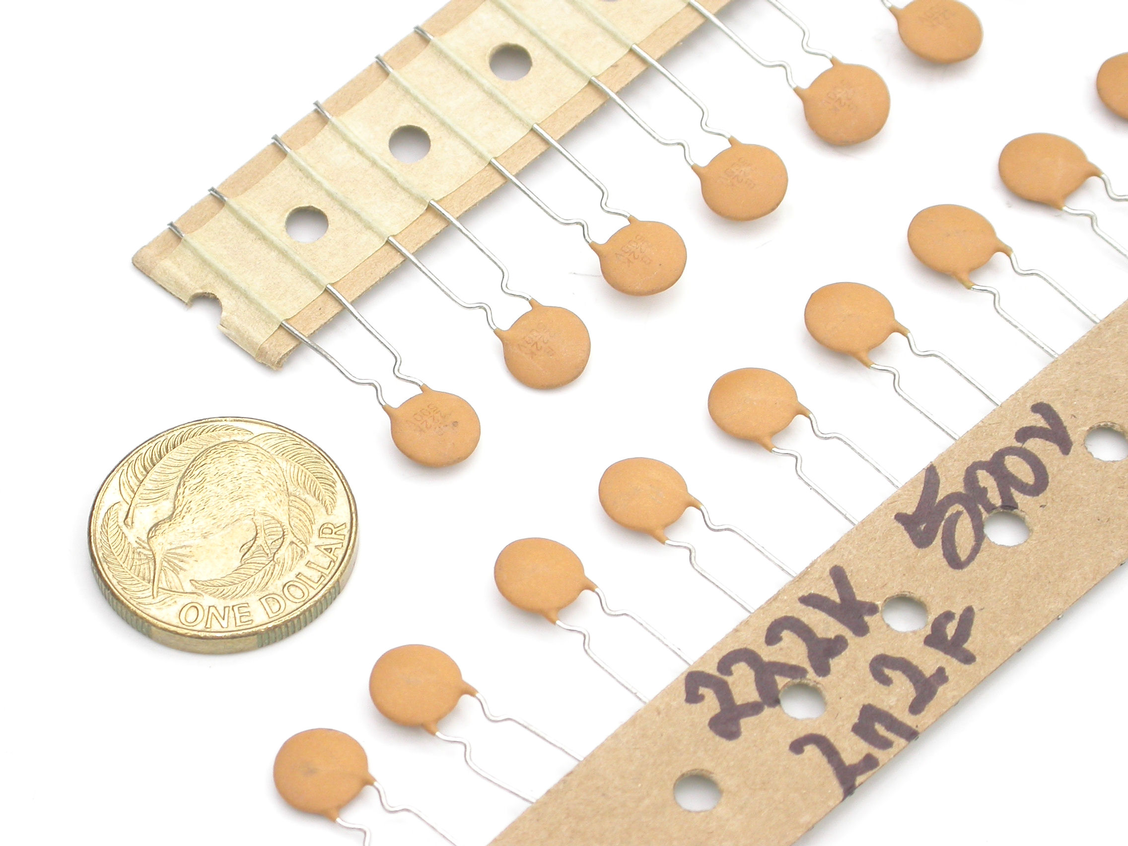 2n2F-500VRAD_DSCN6684.JPG  (405.8 Kb)