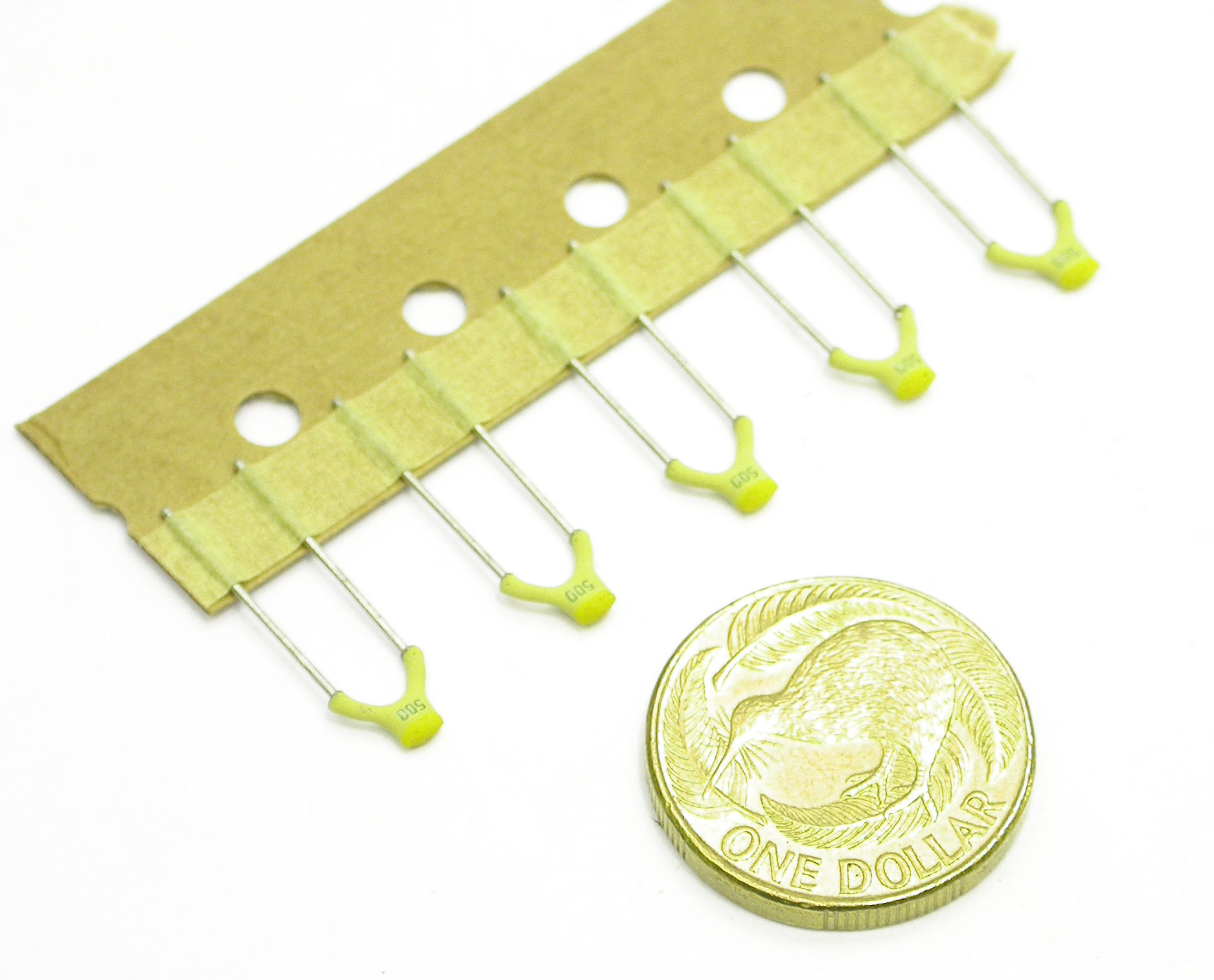 390p-xV-RAD_DSCN3067.JPG  (256.8 Kb)