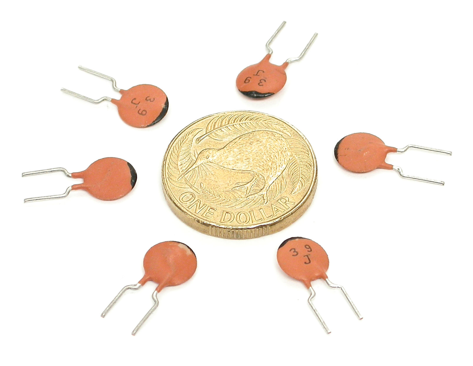 39pF-J_DSCN1231.JPG  (174.7 Kb)