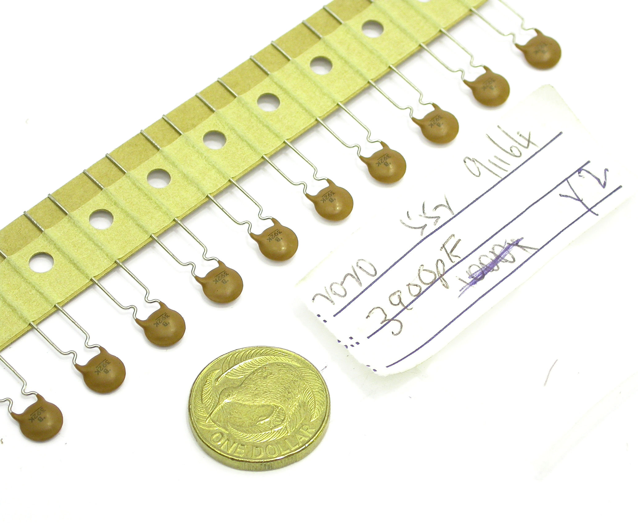 3n9pF-K-xV-RAD_DSCN3058.JPG  (354.4 Kb)