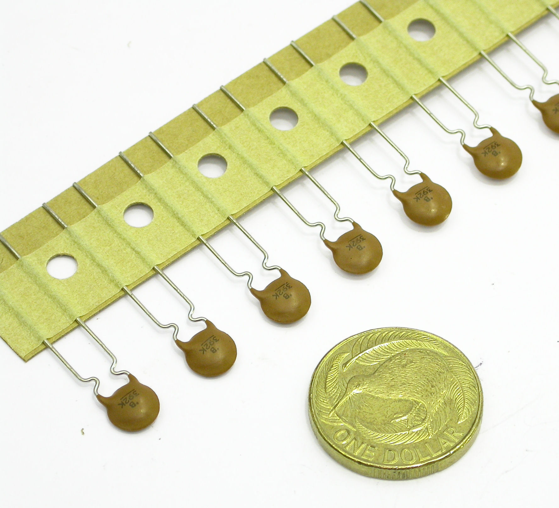 3n9pF-K-xV-RAD_DSCN3059.JPG  (341.3 Kb)