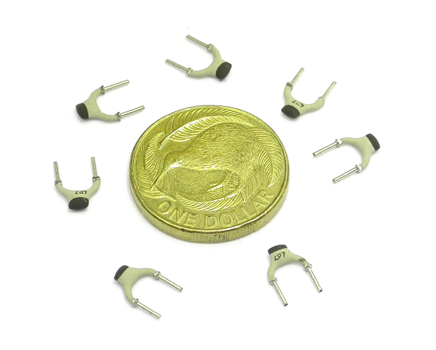 4p7F-100V-RAD-NPO_DSCN3051.JPG  (158.2 Kb)