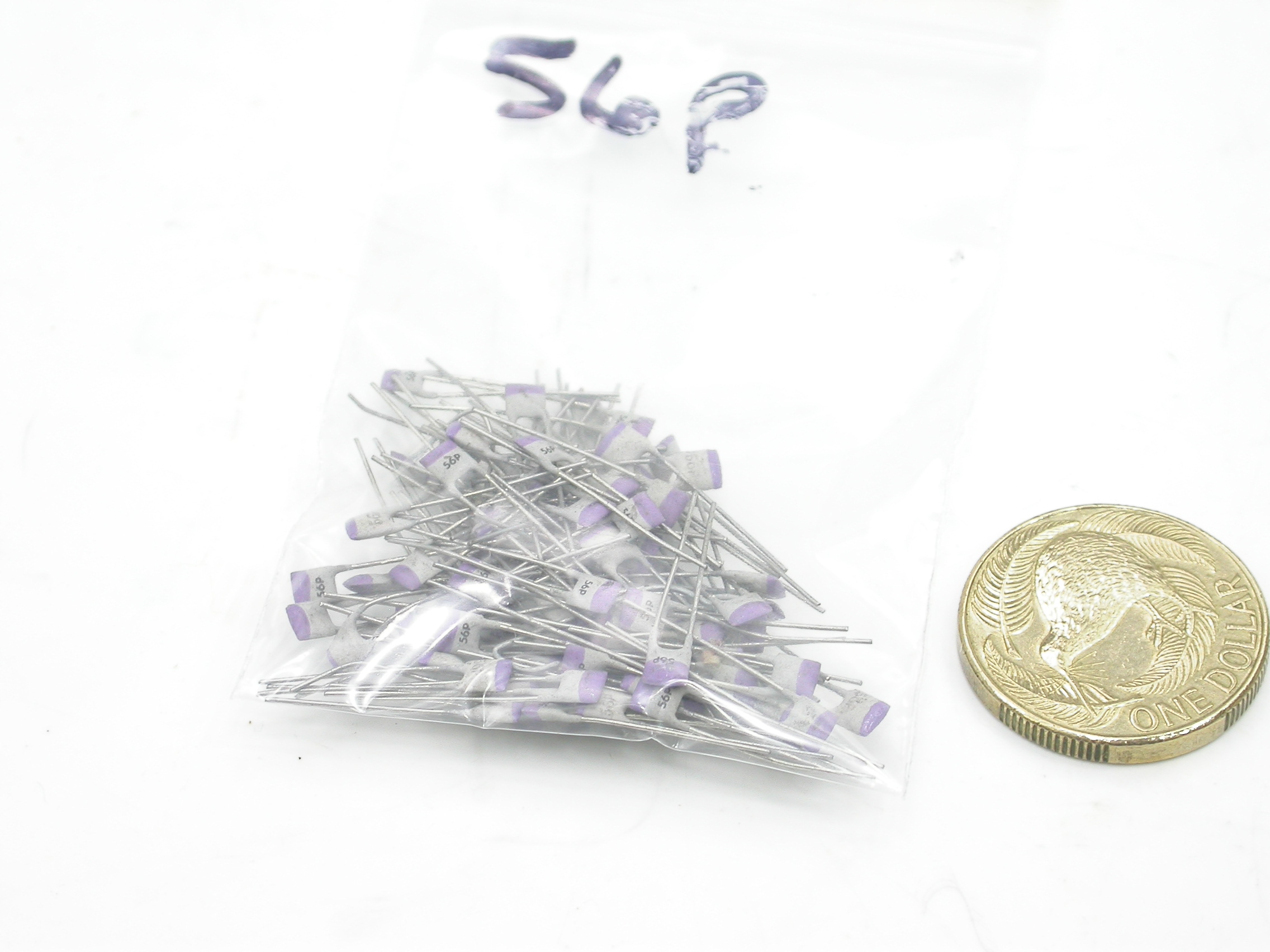 56pF_DSCN2302.JPG  (481.2 Kb)