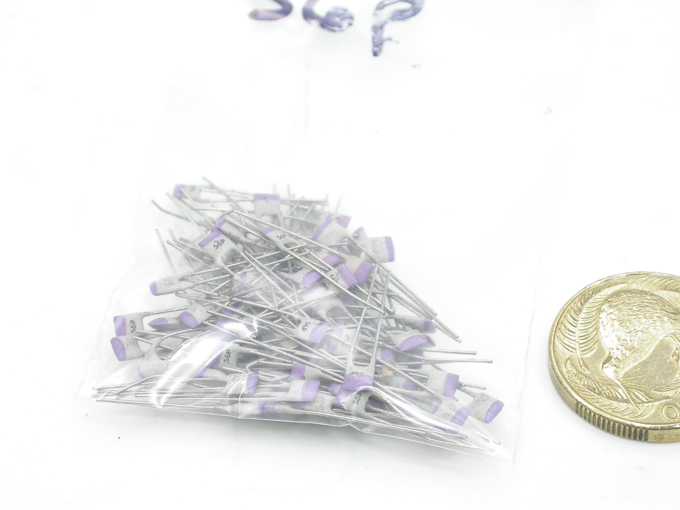 56pF_DSCN2303.JPG  (469.4 Kb)