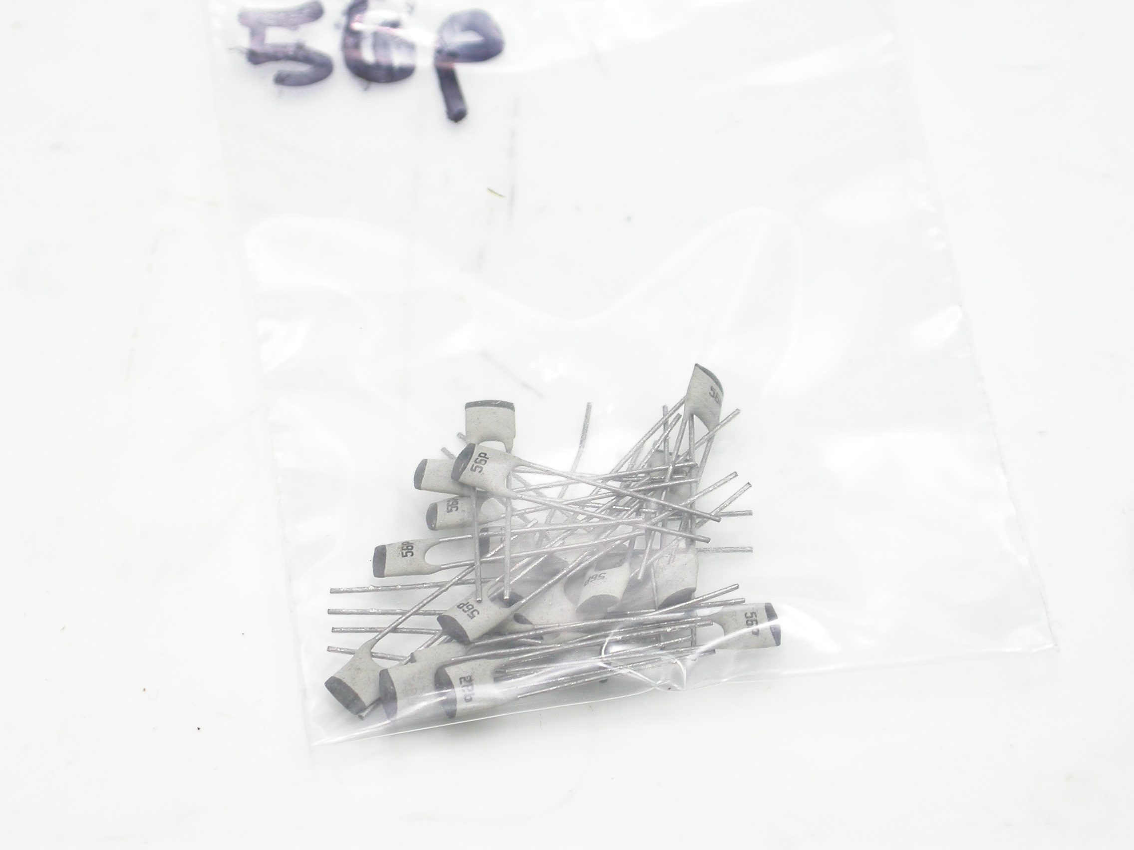 56pF_DSCN2304.JPG  (438.9 Kb)