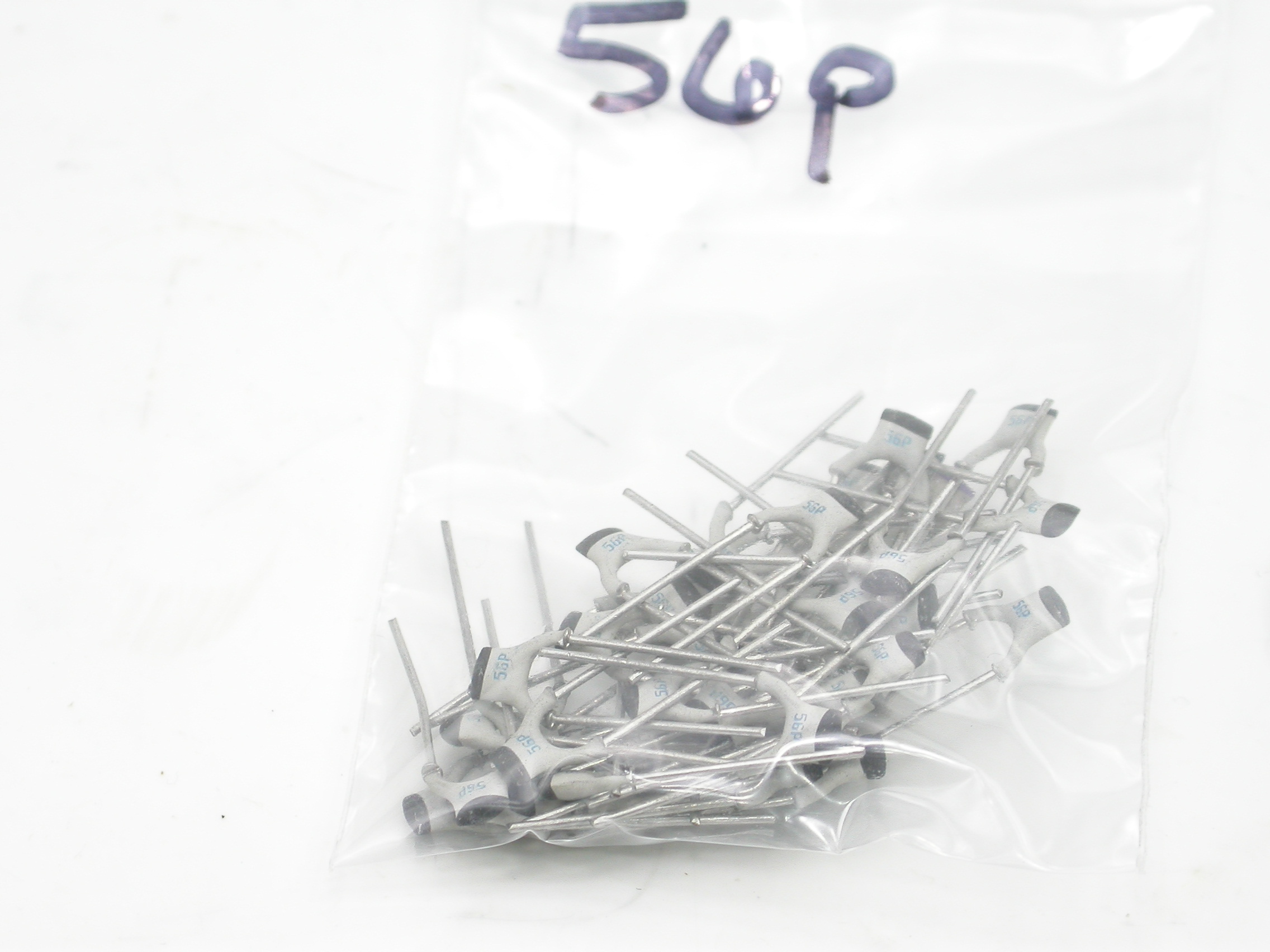 56pF_DSCN2305.JPG  (491.5 Kb)