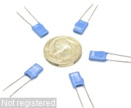 100nS_DSCN2320.JPG  (238.0 Kb)