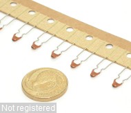 10nF_DSCN0885.JPG  (181.6 Kb)