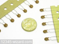 10npF-K-50V-RAD_DSCN3066.JPG  (921.2 Kb)