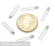 10pF_DSCN1184.JPG  (186.8 Kb)