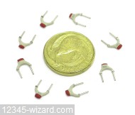 12pF-100V-RAD-N075_DSCN3053.JPG  (155.2 Kb)