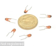 15pF-J-50V_DSCN0866.JPG  (105.9 Kb)