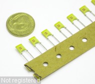 1n5F-K-100V-RAD_DSCN2812.JPG  (342.5 Kb)