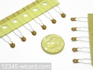 1n8pF-K-50V-RAD_DSCN3062.JPG  (961.9 Kb)