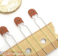 1nF-K-500V-RAD-DD07-959B-Murata_02.JPG  (281.3 Kb)