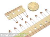 1nF-xxV-Rad_DSCN6681.JPG  (353.5 Kb)