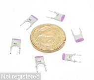 220pF-100V-RAD-N750_DSCN3047.JPG  (110.3 Kb)