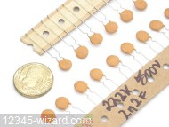 2n2F-500VRAD_DSCN6684.JPG  (405.8 Kb)