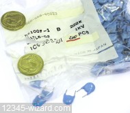 2n2F-K-1Kv-Rad-DE1007-1B-Murata_Bag.JPG  (344.3 Kb)