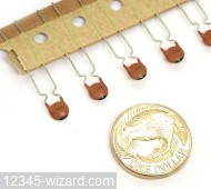 33pF-J-500V-Rad-NPO-DD07-Murata_02.JPG  (263.0 Kb)