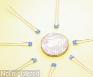 3n9F-K-100V-X7R-Rad-B37781-Siemens_01.JPG  (217.7 Kb)