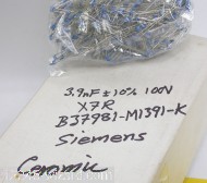 3n9F-K-100V-X7R-Rad-B37781-Siemens_Bag.JPG  (419.4 Kb)
