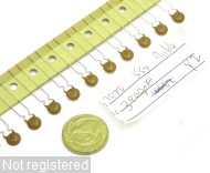 3n9pF-K-xV-RAD_DSCN3058.JPG  (354.4 Kb)