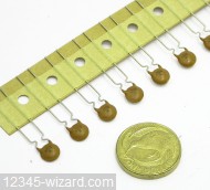 3n9pF-K-xV-RAD_DSCN3059.JPG  (341.3 Kb)