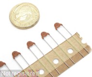 470pF-K-500V-RAD-B-DD05-Murata_04.JPG  (189.9 Kb)