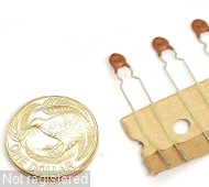 4p7F-K-500V-Rad-NPO-DD05-Murata_09.JPG  (256.9 Kb)