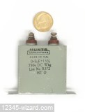 500nF-750V-CAN-R372-Hunts_02.jpg  (167.4 Kb)