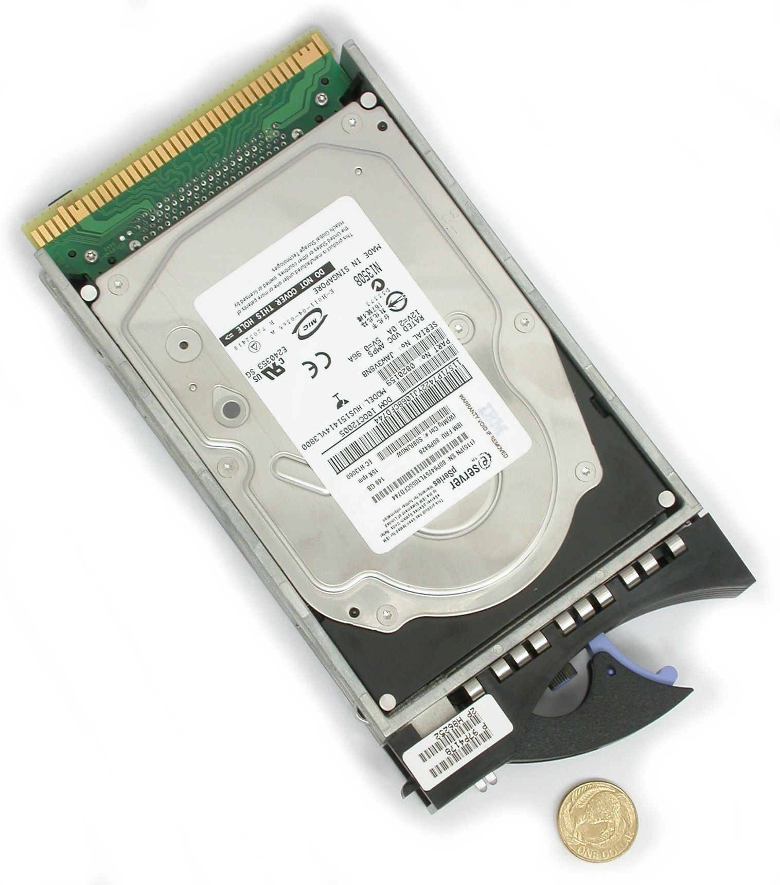 146GB-FRU-80P6426-IBM-DSCN6213.JPG  (292.1 Kb)