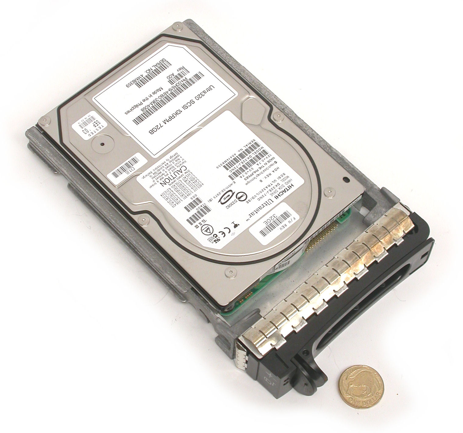 72GB-10k-U320-Dell-DSCN5041.JPG  (257.7 Kb)