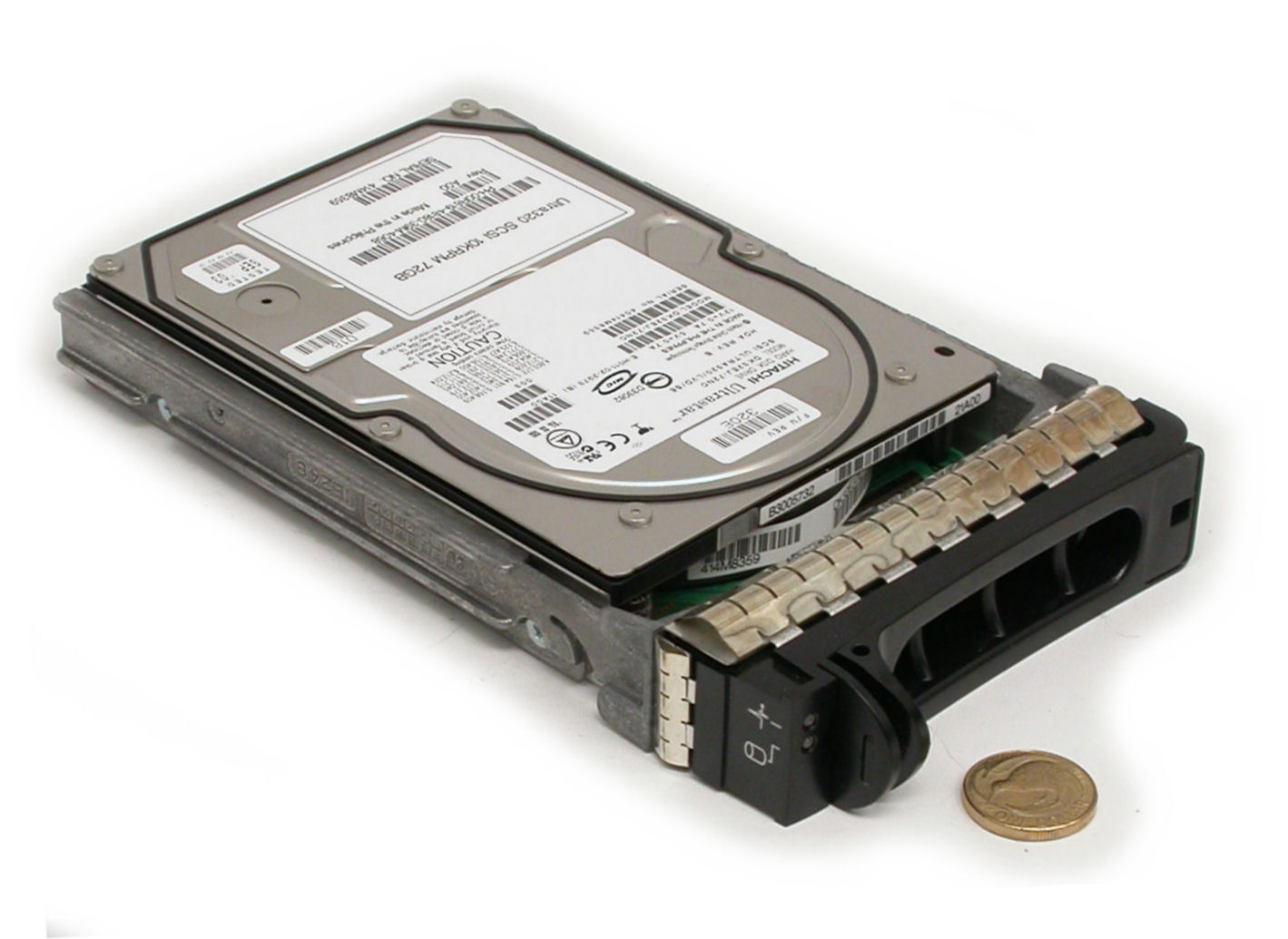 72GB-10k-U320-Dell-DSCN5042.JPG  (145.9 Kb)