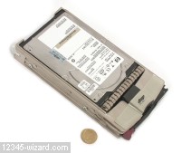 146GB-FC-10K-DSCN3436.JPG  (224.9 Kb)