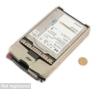 146GB-FC-10K-DSCN3437.JPG  (181.1 Kb)