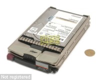 146GB-FC-10K-DSCN3438-WM.jpg  (169.4 Kb)