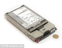 146GB-FC-10K-DSCN6561.JPG  (147.9 Kb)