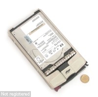 146GB-FC-10K-DSCN6562.JPG  (204.5 Kb)